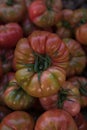 Whole organic tomatoes Raf Coeur De Boeuf. Raw fresh tomatos