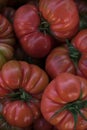 Whole organic tomatoes Raf Coeur De Boeuf. Raw fresh tomatos