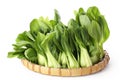 Whole pak choi (Brassica rapa)