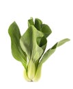 Whole pak choi