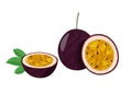 Whole passion fruit with slice isolated on white background. Fresh fruit vector illustration. Royalty Free Stock Photo