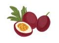 Whole passion fruits, passionfruit's half and leaf. Cut piece of maracuja with juicy flesh with seeds. Composition of