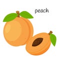 Whole peach and cut half with a seed. Fruit icon. Flat design. Color vector illustration isolated on a white background. Royalty Free Stock Photo