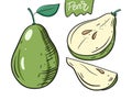 Whole pear, half and slice. Hand drawn vector illustration in cartoon style. Isolated on white background Royalty Free Stock Photo