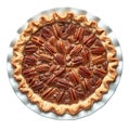 A Whole Pecan Pie in a White Pie Plate Royalty Free Stock Photo