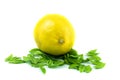 Whole perfect lemon with decorative green leaves on white isolated background