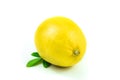 Whole perfect lemon with green leaves on white isolated background