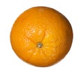 Whole Perfect Orange Citrus Fruit - Isolated on white