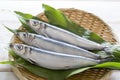 Whole picture of fresh sardines Royalty Free Stock Photo