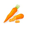 Whole and piece of carrot isolated on white background.