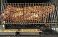 Whole pig roasted on a big grill. Kind of Cheverme, whole animal roasted on a rotating grill. A huge barbecue for a whole swine. O Royalty Free Stock Photo