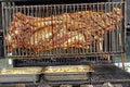 Whole pig roasted on a big grill. Kind of Cheverme, whole animal roasted on a rotating grill. A huge barbecue for a whole swine. O Royalty Free Stock Photo