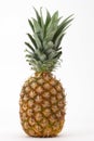 Whole pineapple