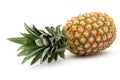 Whole pineapple