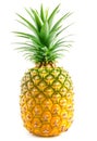 Whole pineapple with detailed texture and vibrant green crown on white background