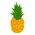 Whole pineapple icon, isometric style