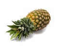 Whole Pineapple Isolated, Whole Ananas, Comosus Tropical Fruit, Ripe Pine Apple on White Royalty Free Stock Photo