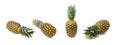 Whole Pineapple Isolated, Whole Ananas, Comosus Tropical Fruit, Ripe Pine Apple on White