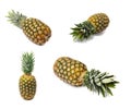 Whole Pineapple Isolated, Whole Ananas, Comosus Tropical Fruit, Ripe Pine Apple on White Royalty Free Stock Photo