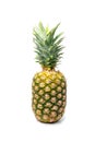 Whole Pineapple Isolated, Whole Ananas, Comosus Tropical Fruit, Ripe Pine Apple on White