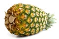 Whole pineapple isolated lying down. Royalty Free Stock Photo