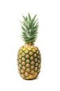 Whole Pineapple Isolated, Whole Ananas, Comosus Tropical Fruit, Ripe Pine Apple on White Royalty Free Stock Photo