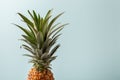 Whole pineapple on pastel blue background. Copy space