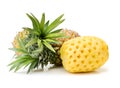 Whole pineapple peeled, sliced organic, and reassembled Royalty Free Stock Photo