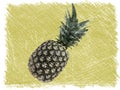 Whole pineapple skech drawing. Top view, copy space Royalty Free Stock Photo