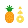 Whole pineapple and three types of slices. Round, triangle and chunk. Flat infographic style. Royalty Free Stock Photo