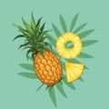 Whole pineapples with slices hand drawn design, tropical with palm branches on background.