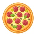 Whole pizza pepperoni. Top view. Vector color flat illustration