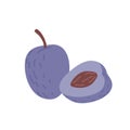 Whole plum and its cut half with seed and violet flesh. Composition of fresh purple berry and its piece. Summer fruit