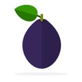 Whole plum with a leaf vertically vector flat isolated