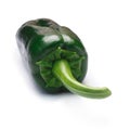 Whole Poblano Ancho pepper, paths Royalty Free Stock Photo