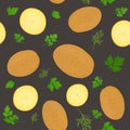 Whole potatoes and potato slices isolated on dark background. Unpeeled potatoes tuber with parsley leaves. Vector illustration.