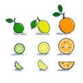 Whole product slice and cut in half orange lemon and lime fruit isolated on white background. Bright summer harvest illustration. Royalty Free Stock Photo