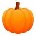 Whole pumpkin icon, cartoon style Royalty Free Stock Photo