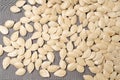 Whole Pumpkin Seeds in Shell Isolated, Raw Pepita Grains, Scattered Green Healthy Nuts