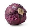 Whole purple cabbage