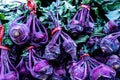 Whole purple kohlrabi with green leafy tops Royalty Free Stock Photo