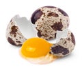Whole quail egg and broken raw quail egg with yolk isolated on white background. Royalty Free Stock Photo