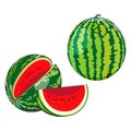 Whole and quarter watermelon in cartoon style for banner, flyer, menu. Fresh summer fruits and berries. Organic, healthy