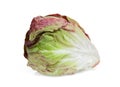 Whole radicchio on white Royalty Free Stock Photo