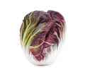 Whole radicchio on white Royalty Free Stock Photo