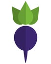 whole radish icon Royalty Free Stock Photo