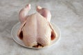 Whole raw bird carcass on a plate