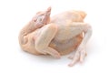 Whole raw chicken Royalty Free Stock Photo