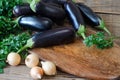 Whole raw eggplant, onions and parsley on wooden cutting board Royalty Free Stock Photo