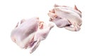 Whole raw Free range chicken. Isolated on white background. Royalty Free Stock Photo